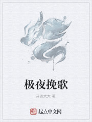 极夜挽歌